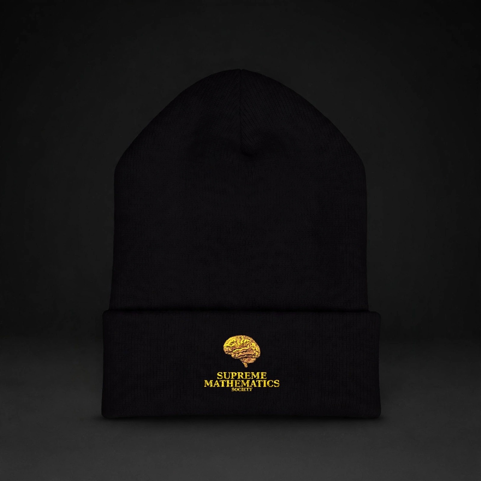 Supreme Mathematics Society Beany - Angle 1