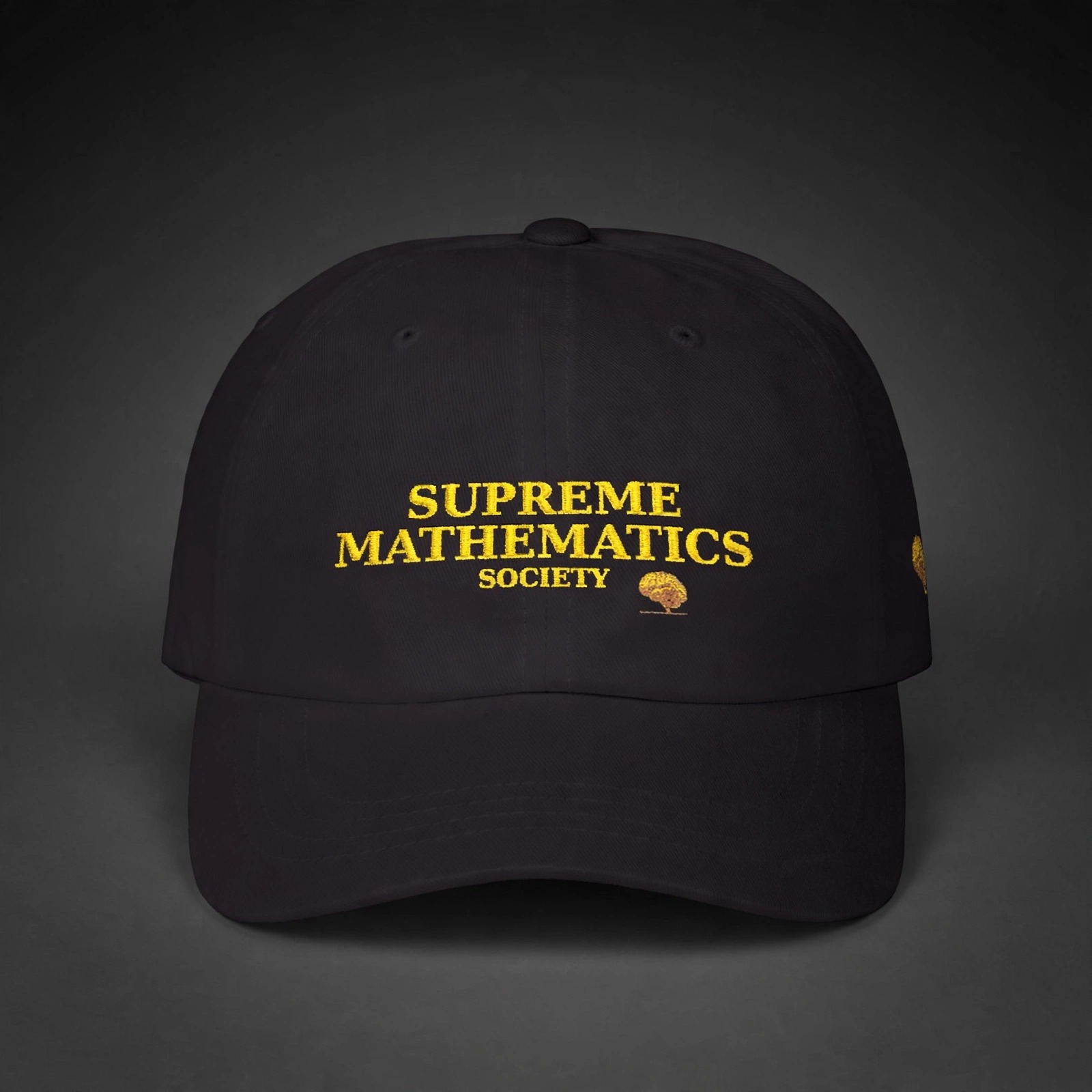 Supreme Mathematics Society Dad Cap - Angle 1