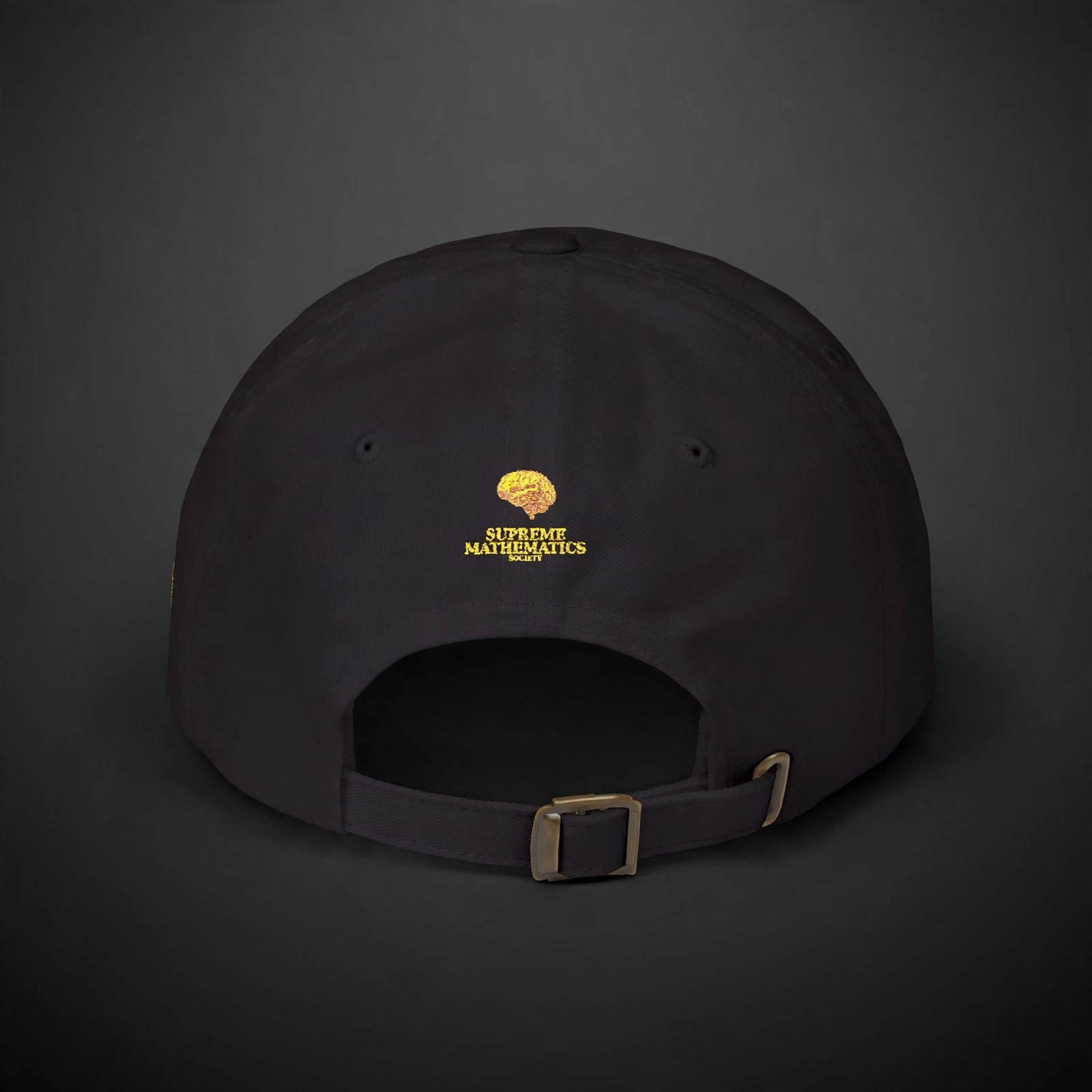 Supreme Mathematics Society Dad Cap - Angle 2