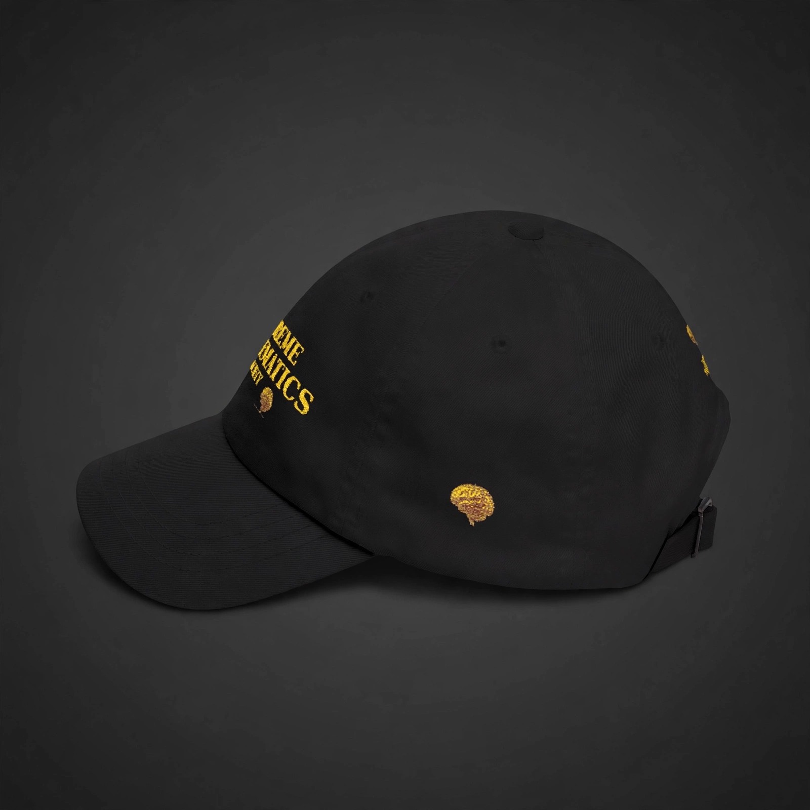 Supreme Mathematics Society Dad Cap - Angle 3