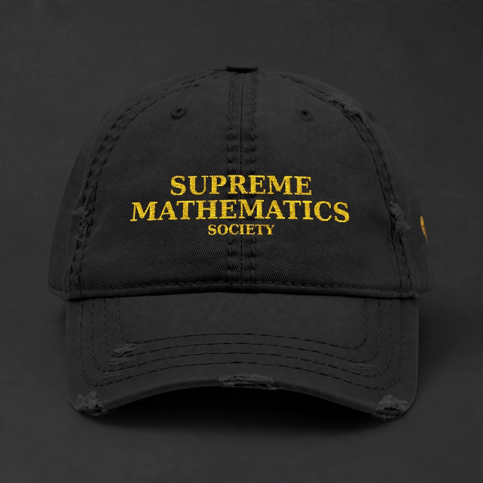 Supreme Mathematics Society Distressed Dad Cap - Angle 1