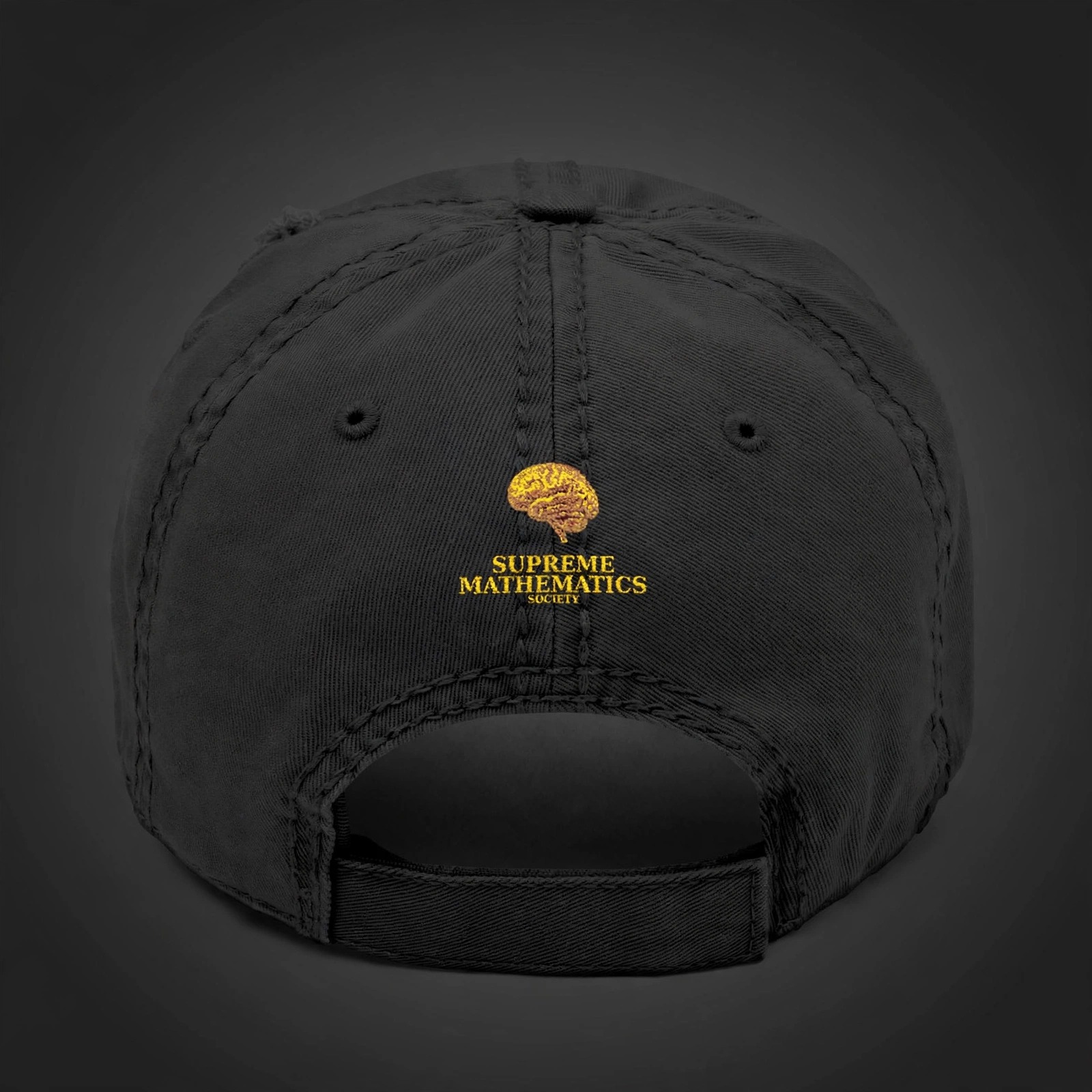 Supreme Mathematics Society Distressed Dad Cap - Angle 2