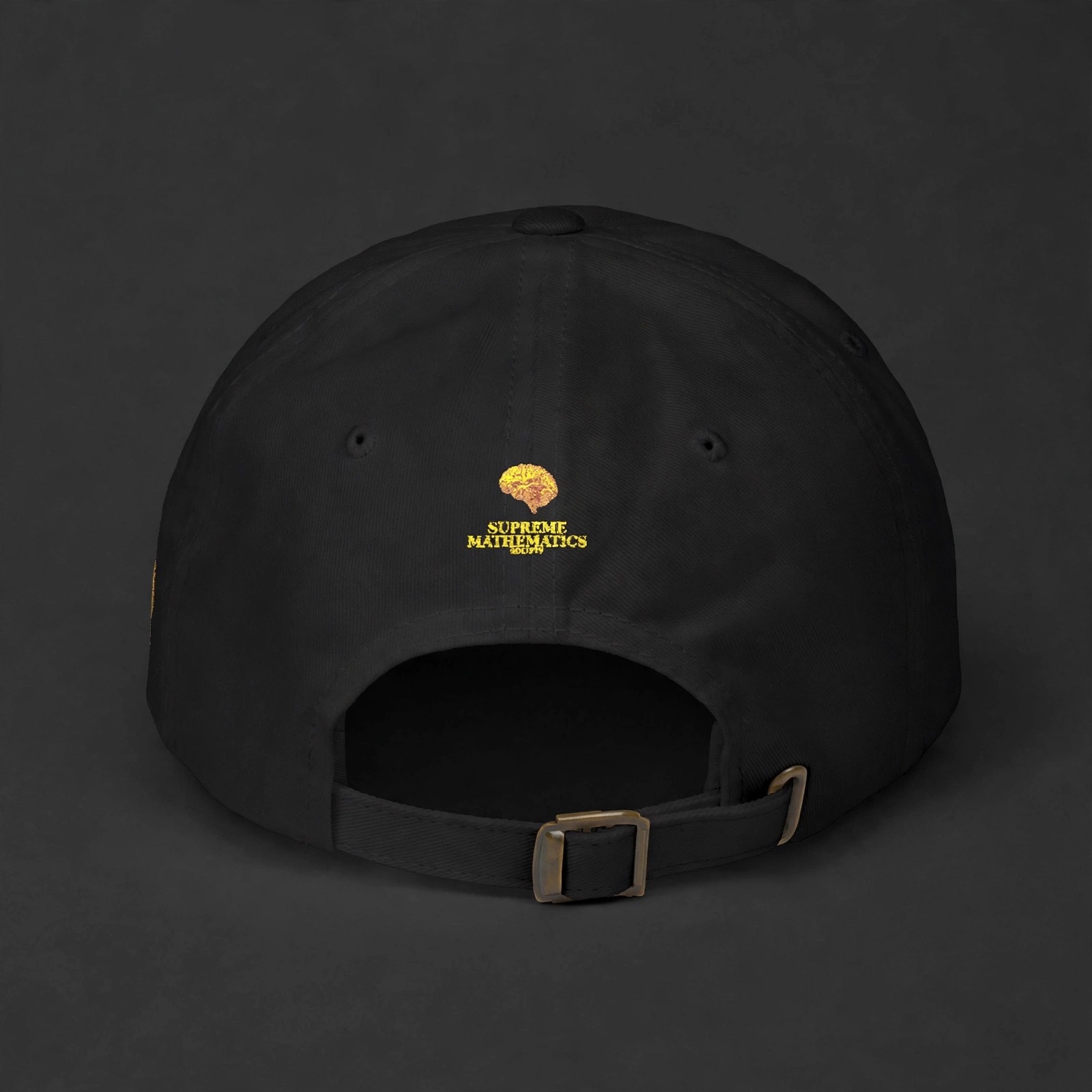 Supreme Mathematics Society dad cap 2 - Angle 2