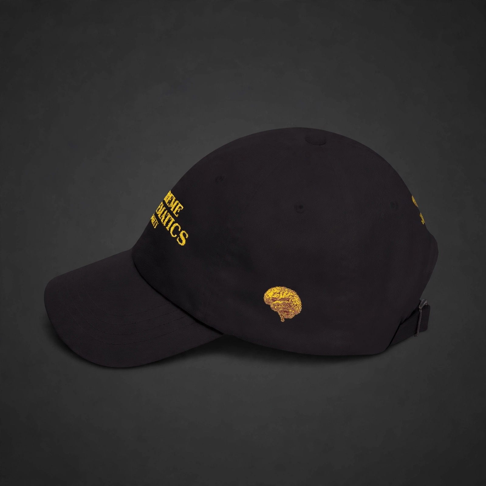Supreme Mathematics Society dad cap 2 - Angle 3