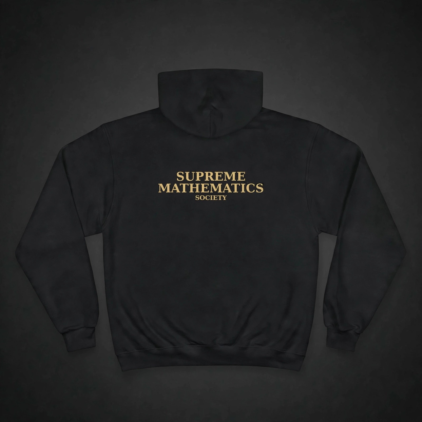 Supreme Mathematics Society Champion Hoodie 2 - Angle 2