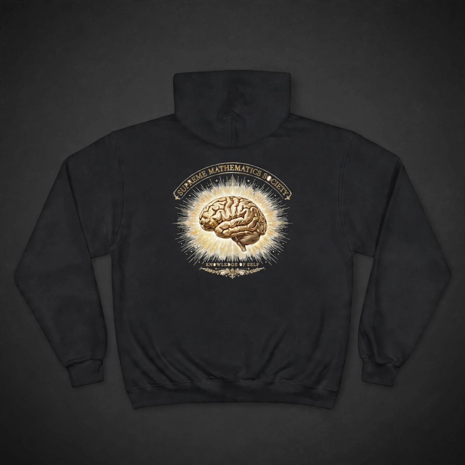 Supreme Mathematics Society Champion Hoodie 3 - Angle 2