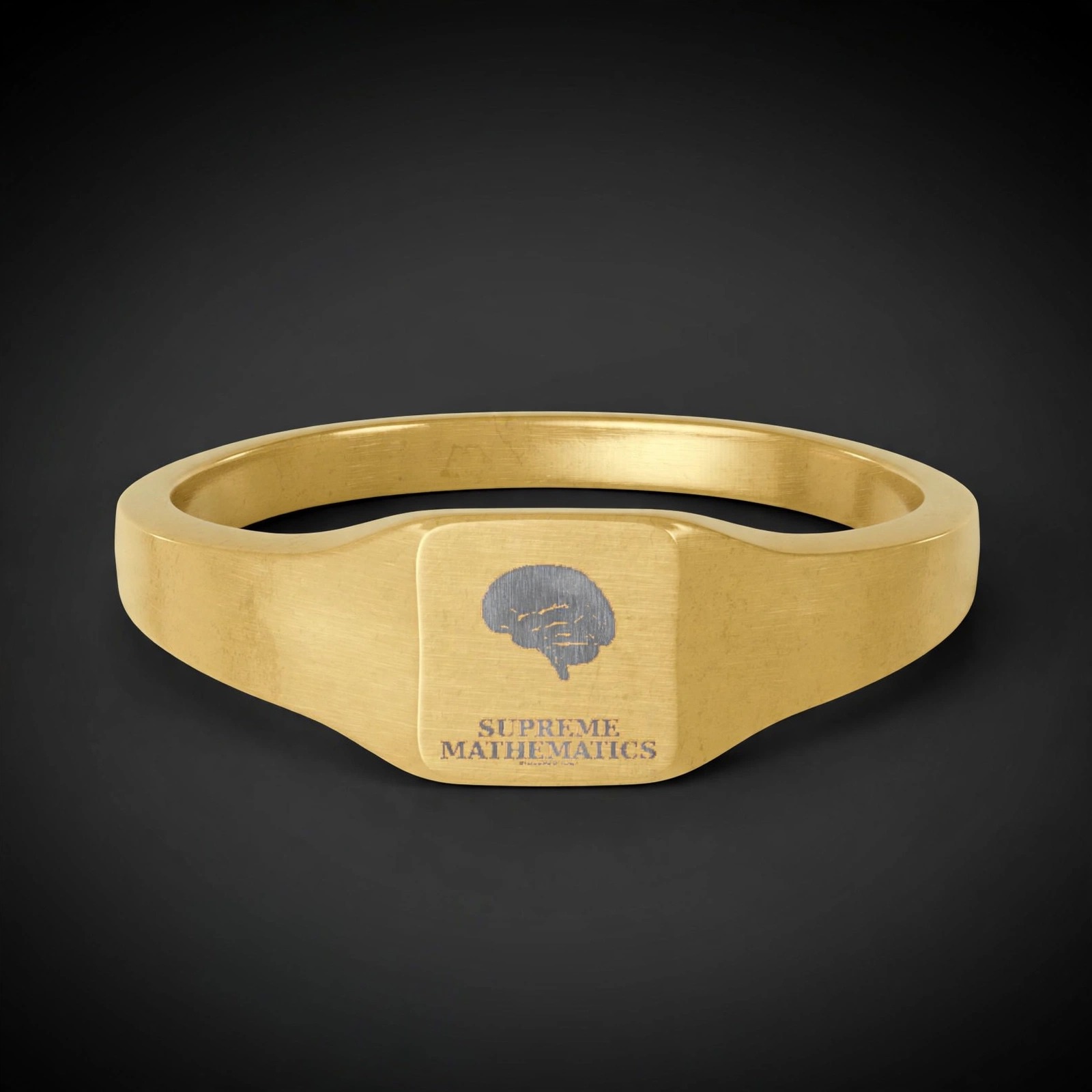 Supreme Mathematics Society 18k Gold Earths Ring - Angle 1
